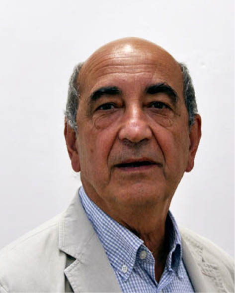 JEAN-michel merle