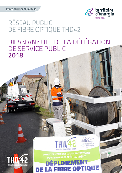 Bilan annuel de la délégation de service public THD42 2018