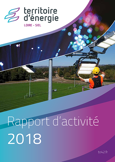 Rapport d’activité 2018