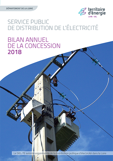 Bilan annuel concession électricité
