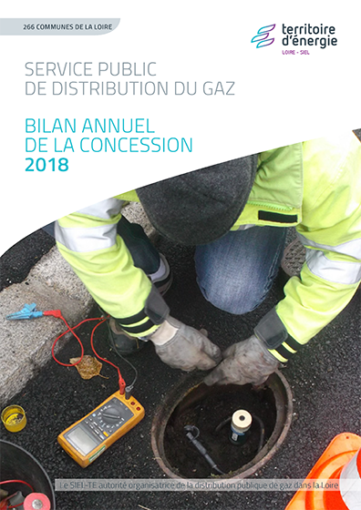 Bilan annuel concession gaz