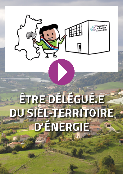 Being a SIEL-TE delegate