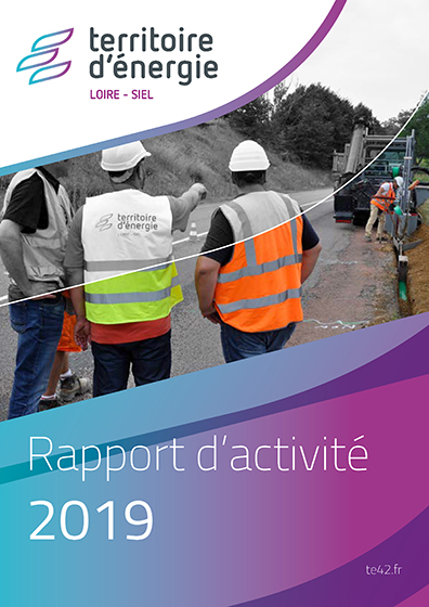 Rapport d’activité 2019