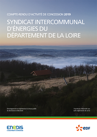 Compte-rendu d’activité de concession électrique Enedis 2019