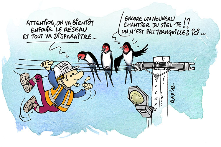 entretien réseau couleurs ©Cled'12