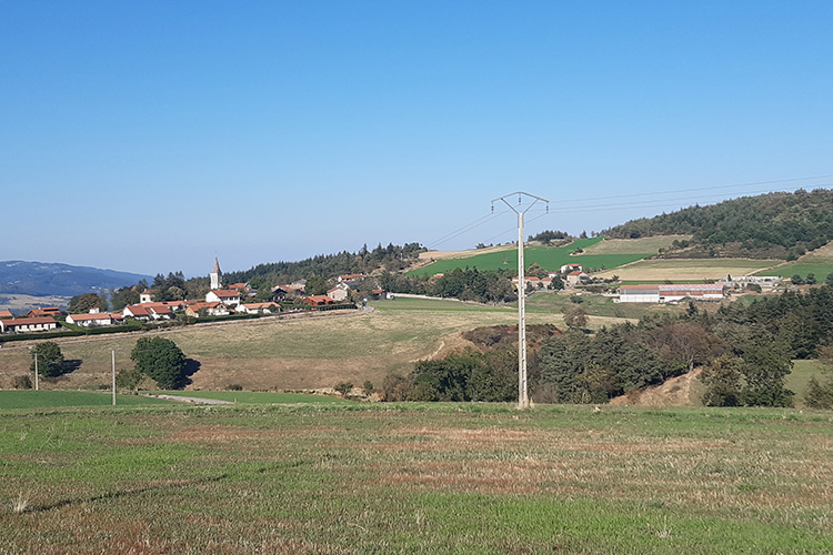 reseau-electrique-loire (2)