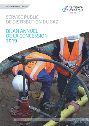 Bilan annuel concession gaz 2019