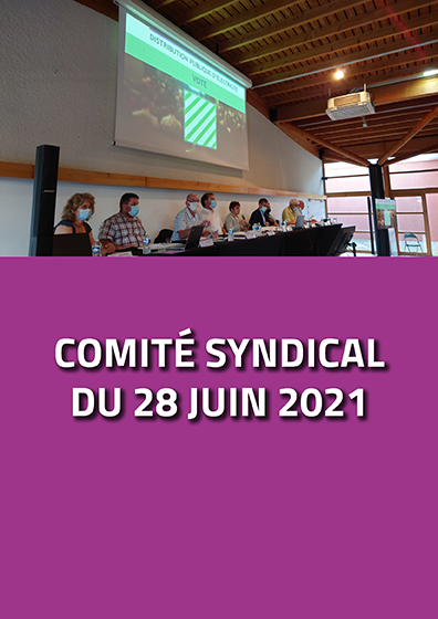 Comité syndical du 28 juin 2021