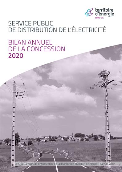 Bilan annuel concession électricité 2020