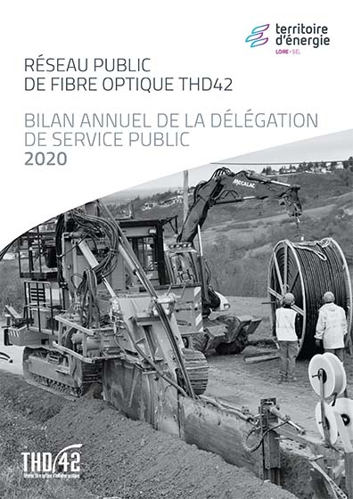 Bilan annuel réseau public fibre optique THD42 2020