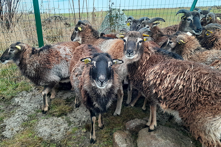 centrale st-genest 3