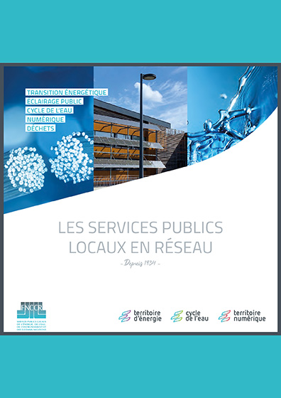 Les services publics locaux en réseau