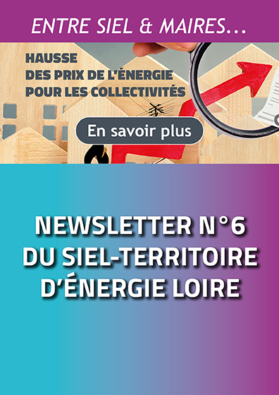 Newsletter n°6