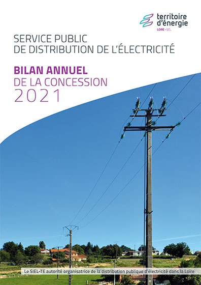 Bilan annuel service public de distribution d’électricité 2021