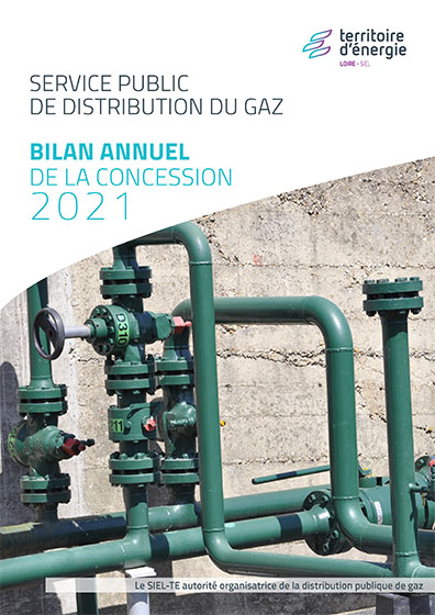Bilan annuel service public de distribution du gaz 2021