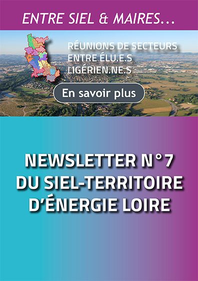 Newsletter n°7