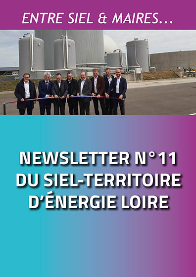 Newsletter n°11