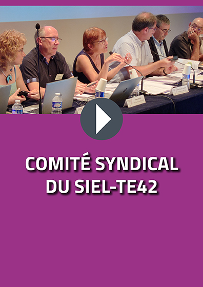 Comité syndical du SIEL-TE42