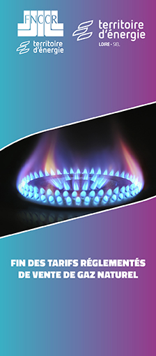 Comment choisir une offre de fourniture au gaz naturel ?