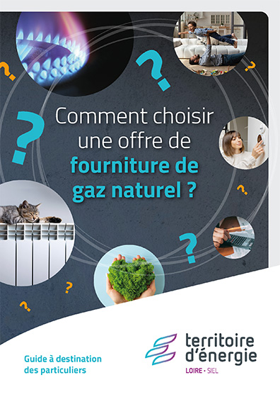 Comment choisir une offre de fourniture de gaz naturel ? (pour les particuliers)