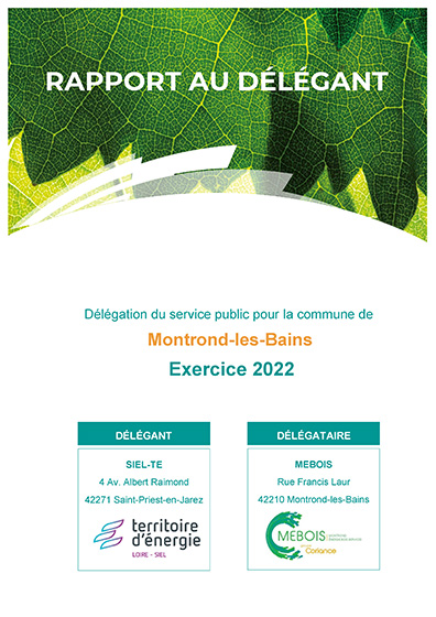 Rapport annuel mebois coriance 2022