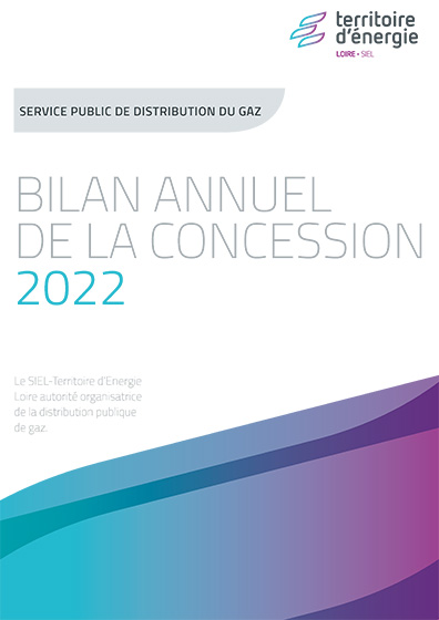 Bilan annuel service public de distribution du gaz 2022
