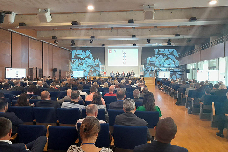 trip avicca printemps 2025-