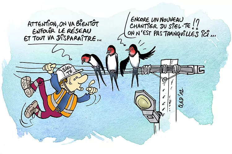 entretien réseau couleurs ©Cled'12